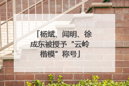 杨斌、闻明、徐成东被授予“云岭楷模”称号
