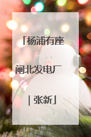 杨浦有座闸北发电厂｜张新