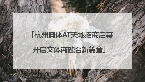 杭州奥体AT天地招商启幕 开启文体商融合新篇章