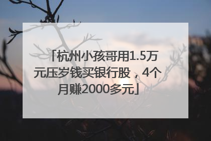 杭州小孩哥用1.5万元压岁钱买银行股，4个月赚2000多元