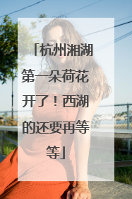 杭州湘湖第一朵荷花开了！西湖的还要再等等