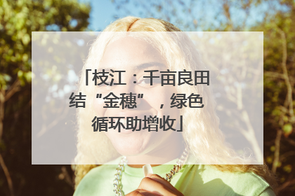 枝江：千亩良田结“金穗”，绿色循环助增收