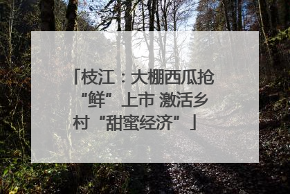 枝江：大棚西瓜抢“鲜”上市 激活乡村“甜蜜经济”