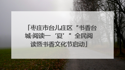 枣庄市台儿庄区“书香台城·阅读一‘夏’”全民阅读暨书香文化节启动