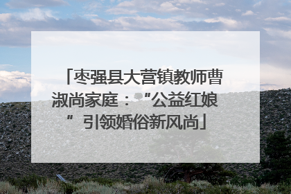 枣强县大营镇教师曹淑尚家庭：“公益红娘”引领婚俗新风尚