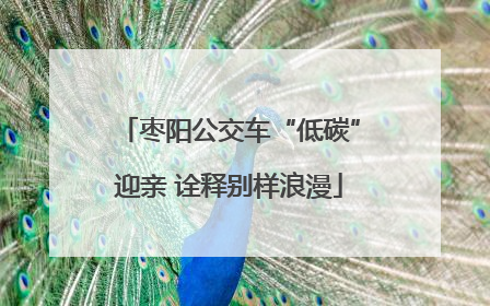 枣阳公交车“低碳”迎亲 诠释别样浪漫
