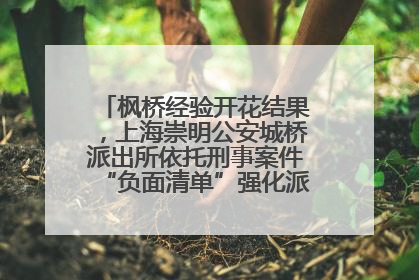 枫桥经验开花结果，上海崇明公安城桥派出所依托刑事案件“负面清单”强化派出所“主防”