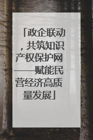 政企联动，共筑知识产权保护网——赋能民营经济高质量发展
