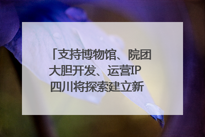 支持博物馆、院团大胆开发、运营IP 四川将探索建立新的收入分配激励机制｜新闻发布最前线