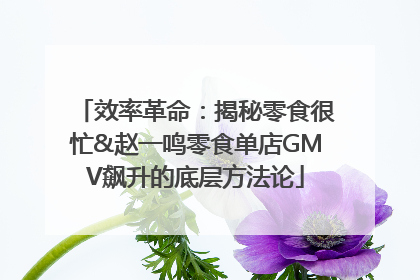 效率革命：揭秘零食很忙&赵一鸣零食单店GMV飙升的底层方法论
