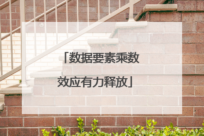 数据要素乘数效应有力释放