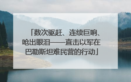 数次驱赶、连续巨响、呛出眼泪——直击以军在巴勒斯坦难民营的行动