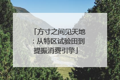 方寸之间见天地：从特区试验田到提振消费引擎
