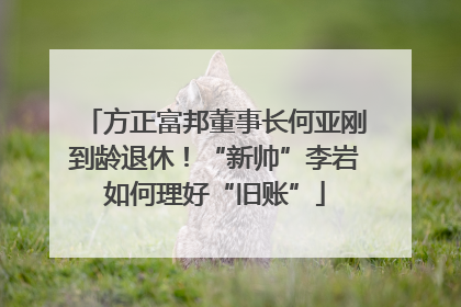 方正富邦董事长何亚刚到龄退休！“新帅”李岩如何理好“旧账”