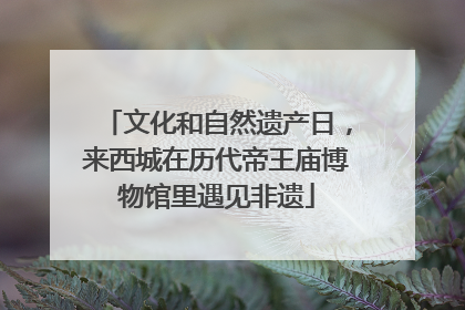 文化和自然遗产日，来西城在历代帝王庙博物馆里遇见非遗
