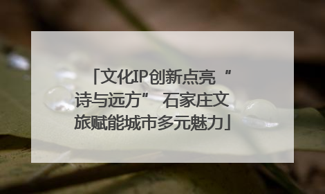 文化IP创新点亮“诗与远方” 石家庄文旅赋能城市多元魅力