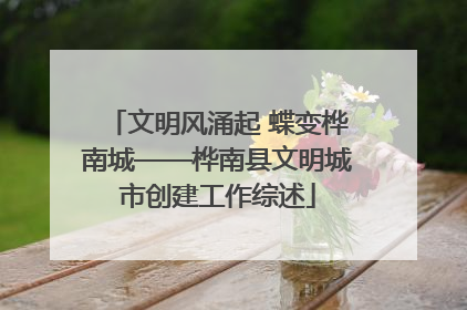 文明风涌起 蝶变桦南城——桦南县文明城市创建工作综述