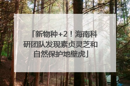 新物种+2！海南科研团队发现素贞灵芝和自然保护地壁虎