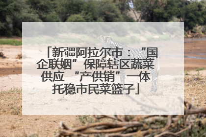 新疆阿拉尔市：“国企联姻”保障辖区蔬菜供应 “产供销”一体托稳市民菜篮子