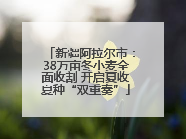 新疆阿拉尔市：38万亩冬小麦全面收割 开启夏收夏种“双重奏”