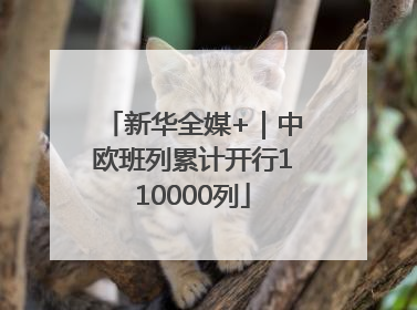 新华全媒+｜中欧班列累计开行110000列