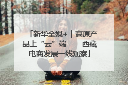 新华全媒+｜高原产品上“云”端——西藏电商发展一线观察