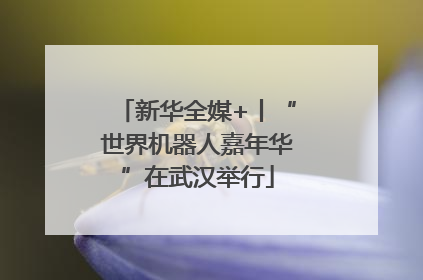 新华全媒+丨“世界机器人嘉年华”在武汉举行