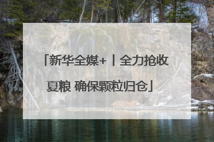 新华全媒+丨全力抢收夏粮 确保颗粒归仓