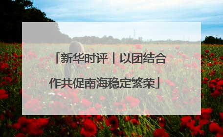 新华时评丨以团结合作共促南海稳定繁荣