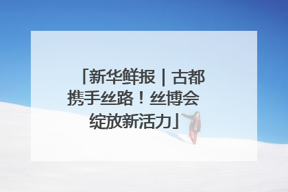 新华鲜报｜古都携手丝路！丝博会绽放新活力