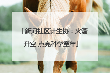 新河社区计生协：火箭升空 点亮科学童年