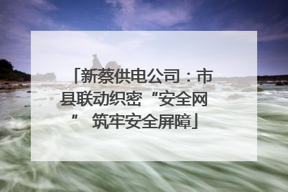 新蔡供电公司：市县联动织密“安全网” 筑牢安全屏障