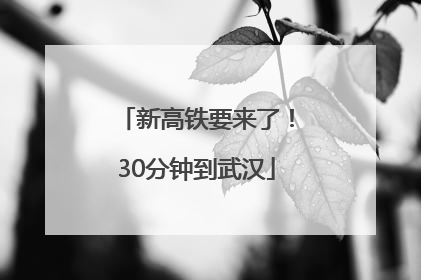 新高铁要来了！30分钟到武汉