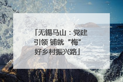 无锡马山：党建引领 铺就“梅”好乡村振兴路