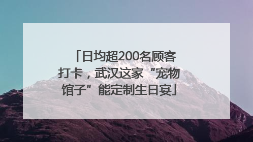 日均超200名顾客打卡，武汉这家“宠物馆子”能定制生日宴