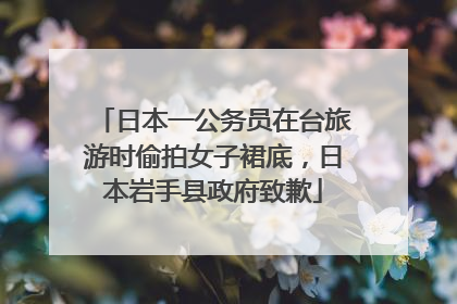 日本一公务员在台旅游时偷拍女子裙底，日本岩手县政府致歉