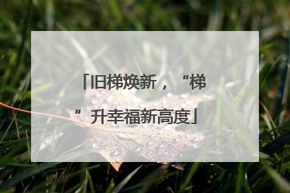 旧梯焕新，“梯”升幸福新高度