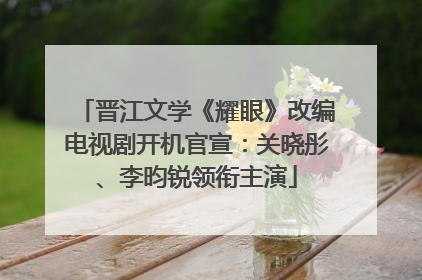 晋江文学《耀眼》改编电视剧开机官宣：关晓彤、李昀锐领衔主演