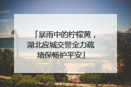暴雨中的柠檬黄，湖北应城交警全力疏堵保畅护平安