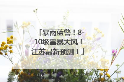暴雨蓝警！8-10级雷暴大风！江苏最新预测！