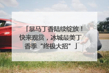 暴马丁香陆续绽放！快来观赏，冰城最美丁香季“终极大招”