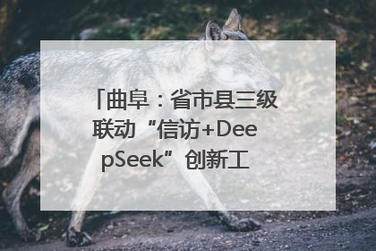 曲阜：省市县三级联动“信访+DeepSeek”创新工作新闻发布会举行