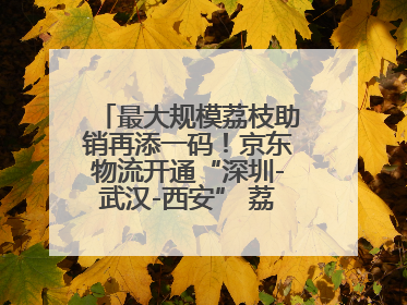 最大规模荔枝助销再添一码！京东物流开通“深圳-武汉-西安” 荔枝全货机航线