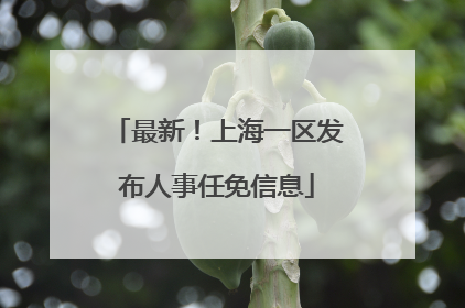 最新！上海一区发布人事任免信息