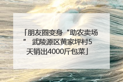 朋友圈变身“助农卖场” 武陵源区黄家坪村5天销出4000斤包菜
