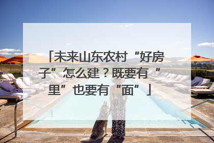 未来山东农村“好房子”怎么建？既要有“里”也要有“面”