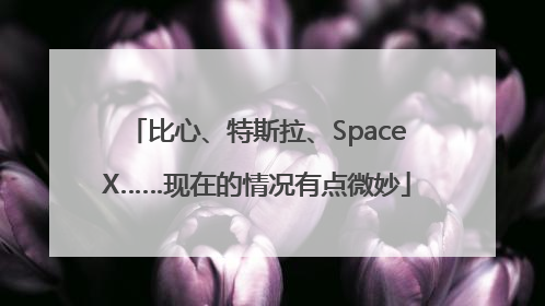 比心、特斯拉、SpaceX……现在的情况有点微妙