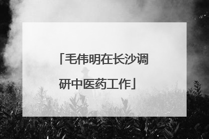 毛伟明在长沙调研中医药工作