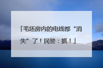 毛坯房内的电线都“消失”了！民警：抓！