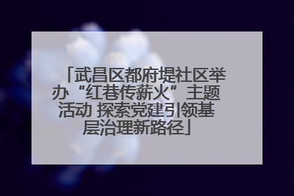 武昌区都府堤社区举办“红巷传薪火”主题活动 探索党建引领基层治理新路径